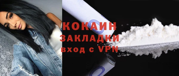 сатива Елабуга