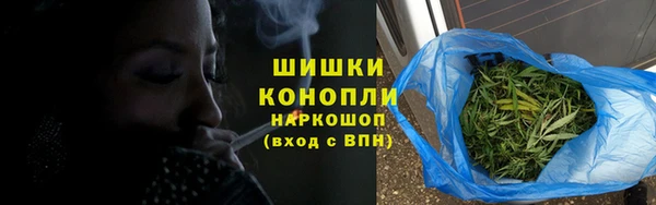 сатива Елабуга
