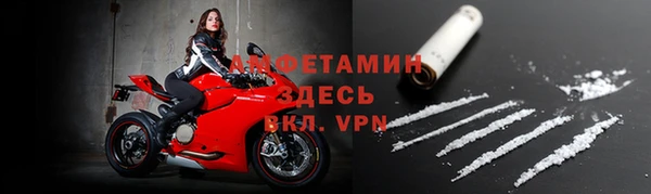 сатива Елабуга