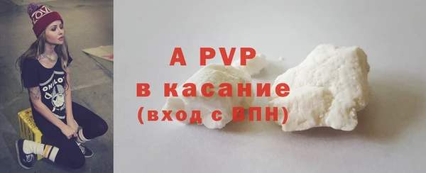 гидра Гусев