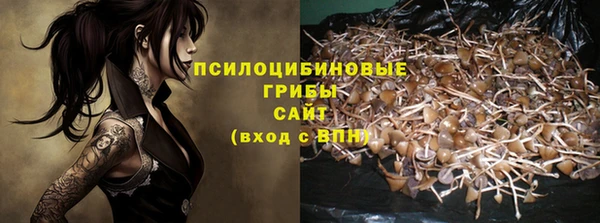 марки nbome Ельня