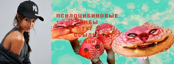 гашиш Дмитров