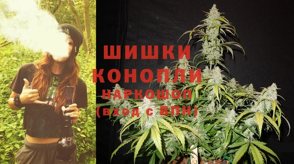 ПСИЛОЦИБИНОВЫЕ ГРИБЫ Елизово