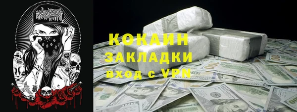 ПСИЛОЦИБИНОВЫЕ ГРИБЫ Елизово
